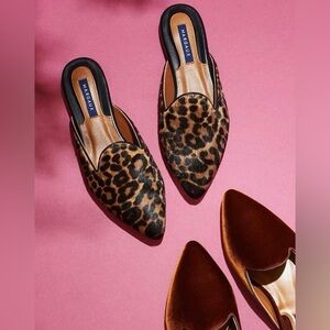 Margaux Leopard Print Mules absolutely Gorgeous 🩷